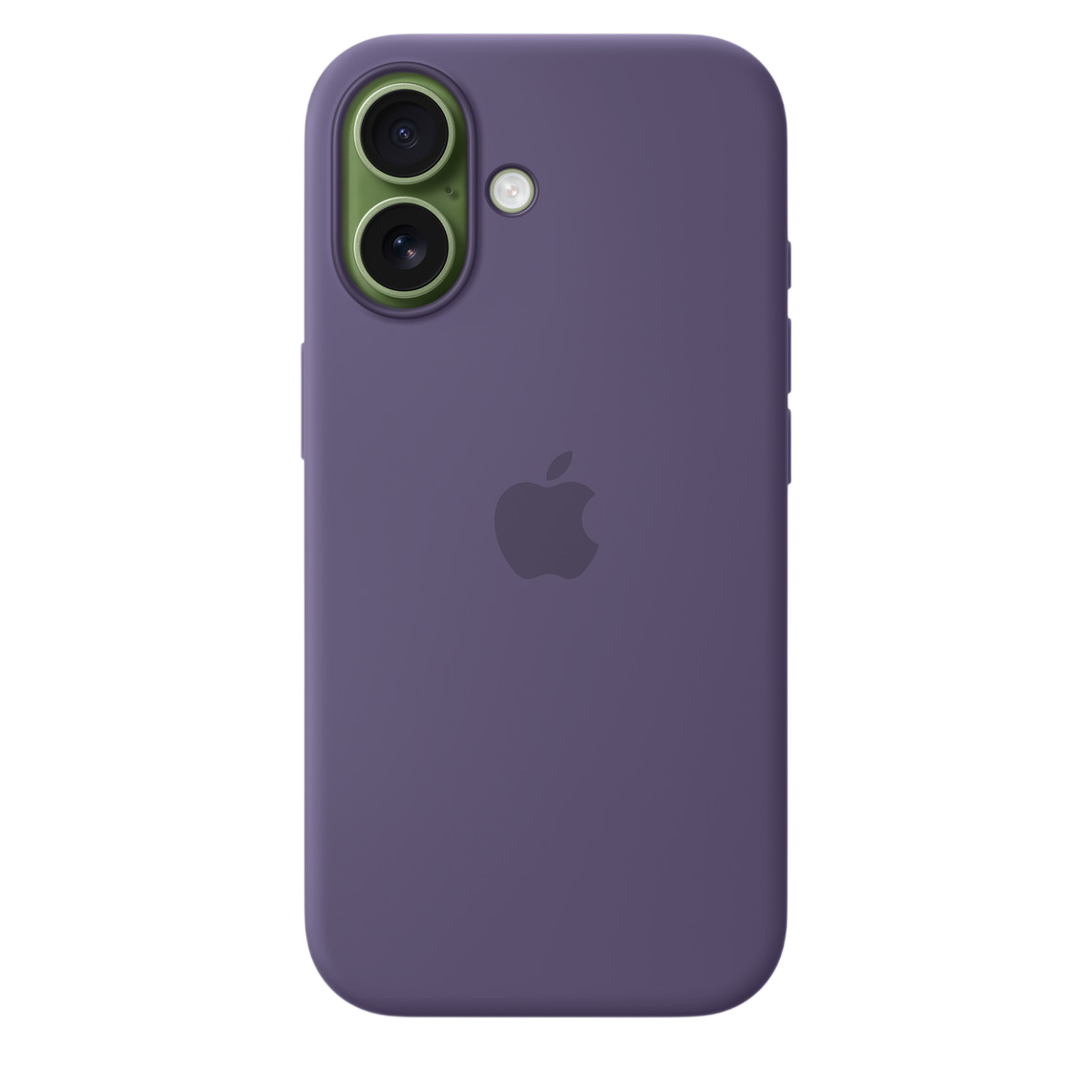 Purple Fog