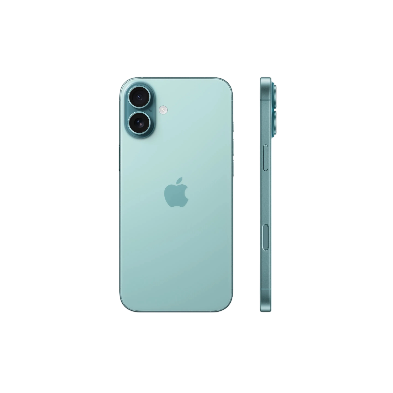 Teal