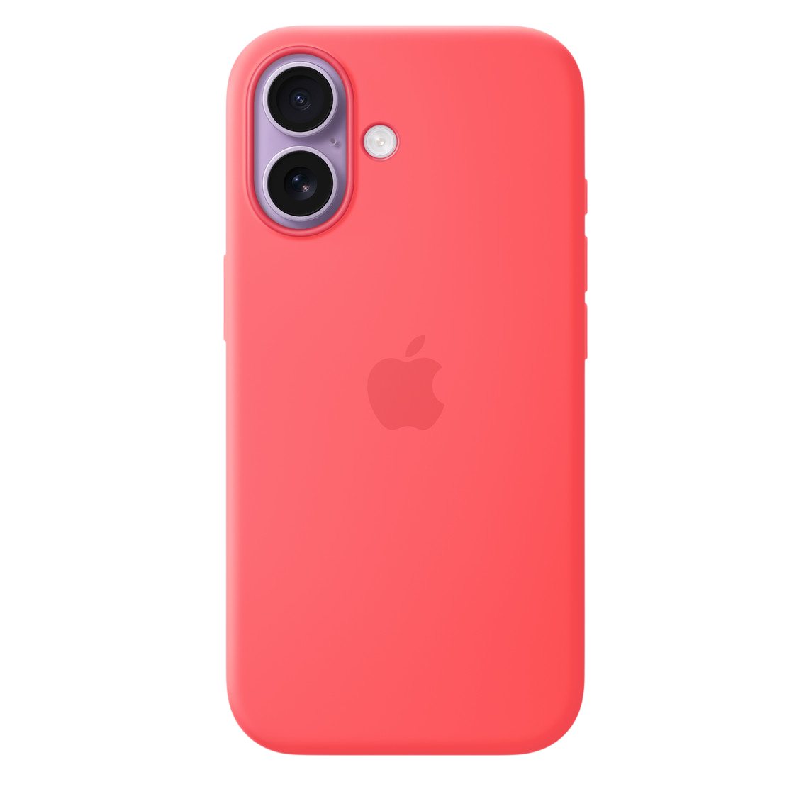 Bright Guava