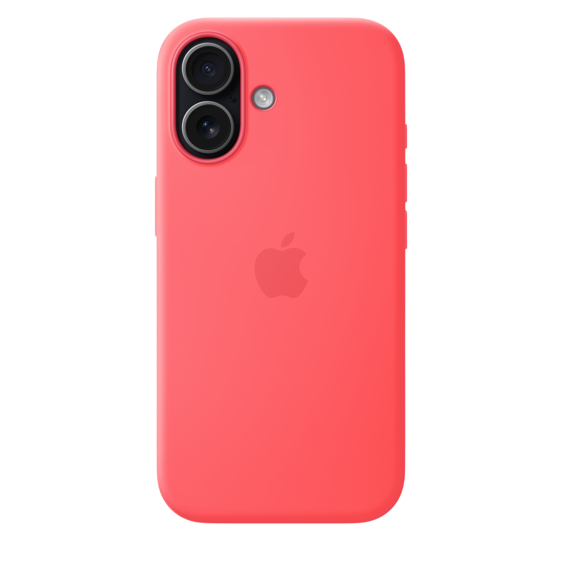 Bright Guava