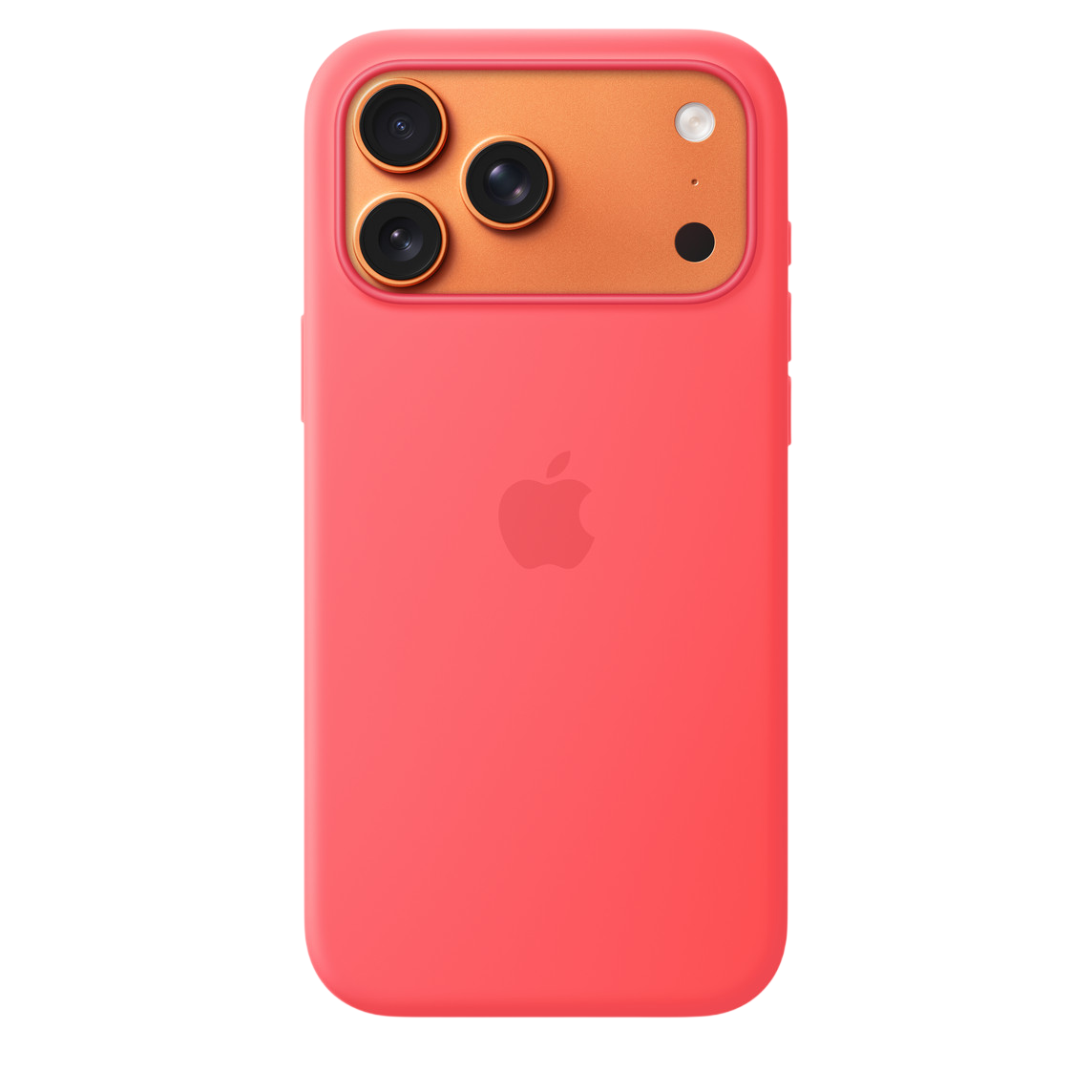 Bright Guava