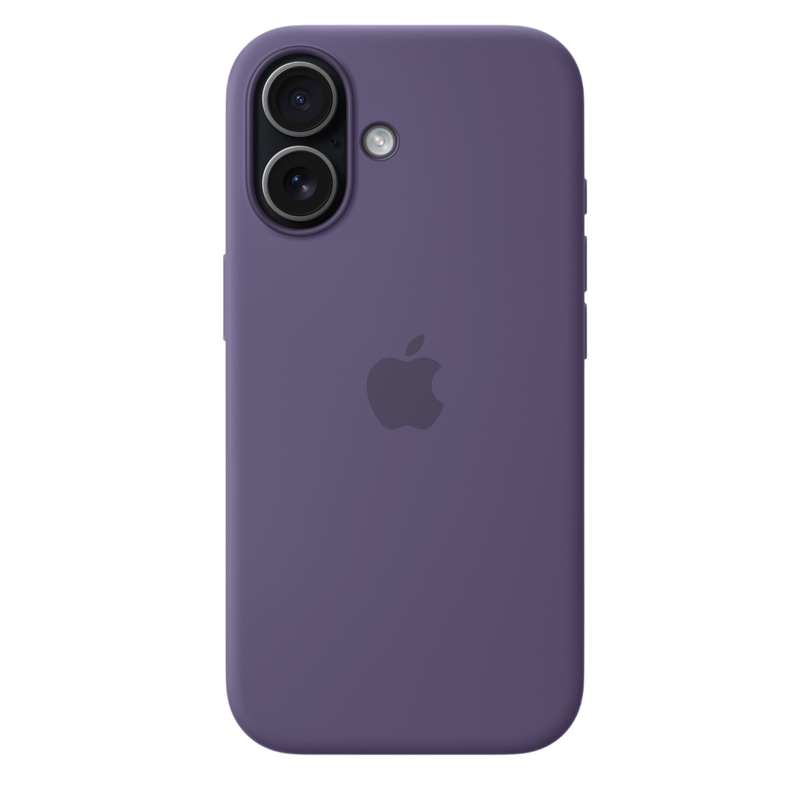 Purple Fog