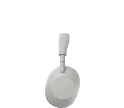 Platinum Silver