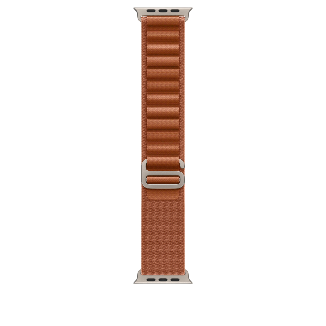 Terra Cotta