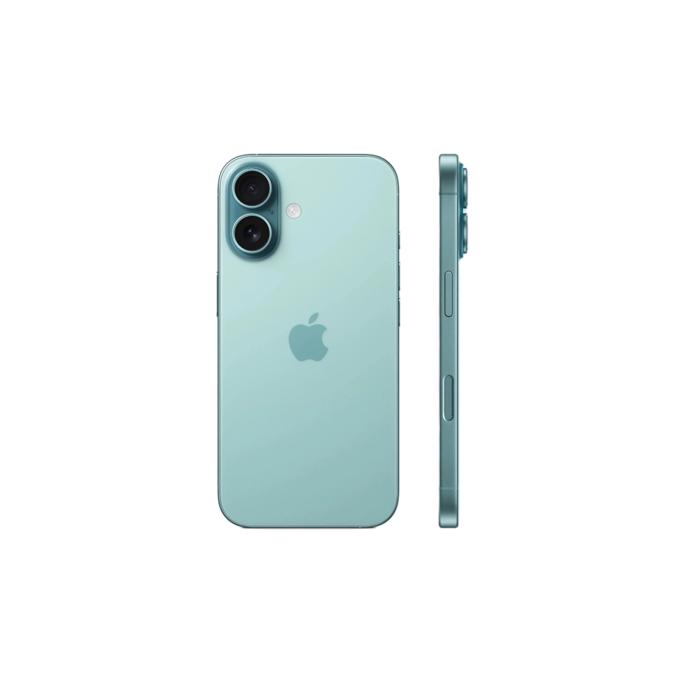 Teal